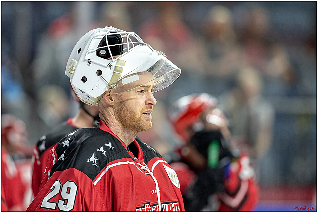 DEL; Koelner Haie - Adler Mannheim, 14.10.2018